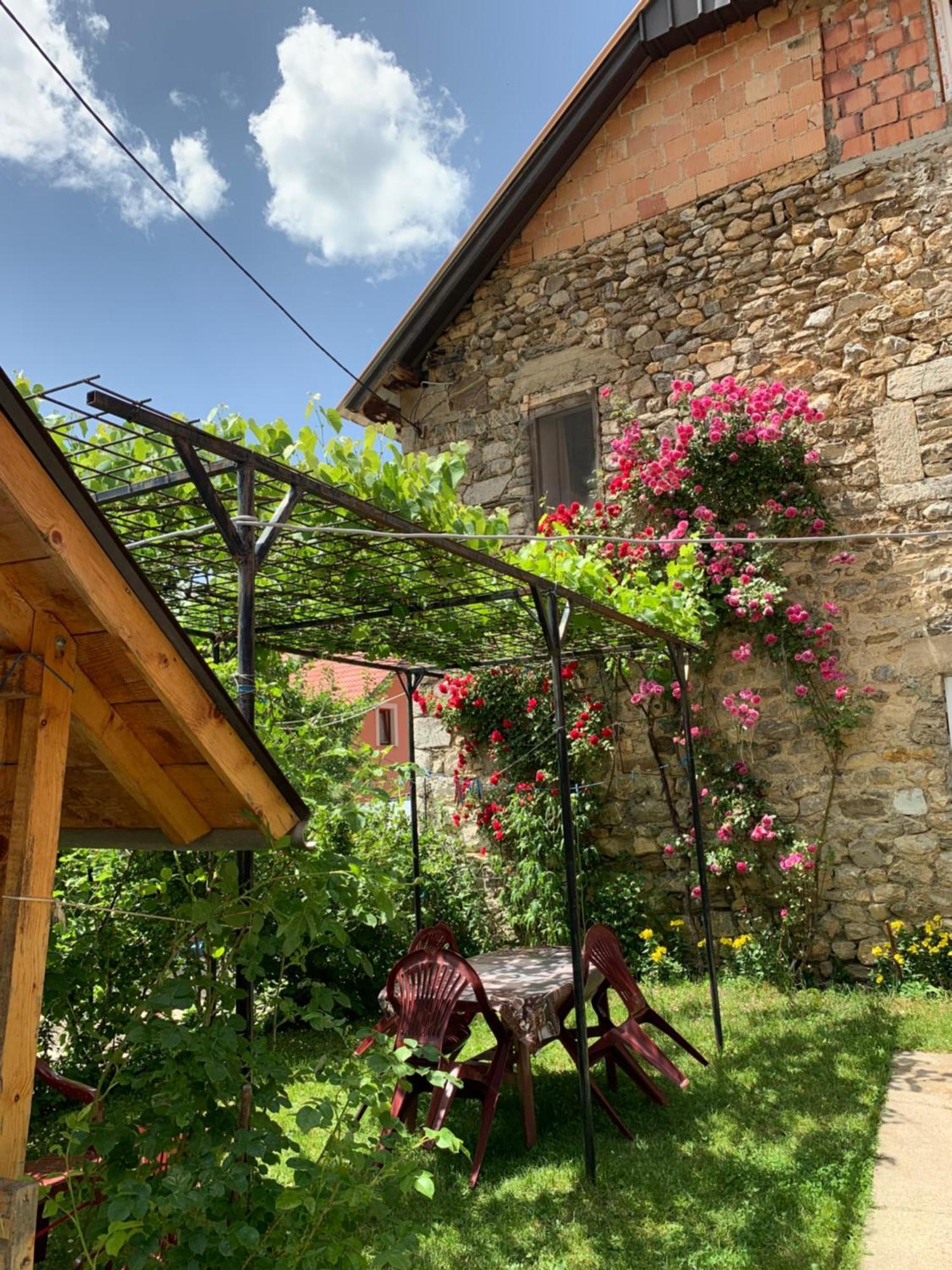 Guest House Ulaj Vuthaj 외부 사진